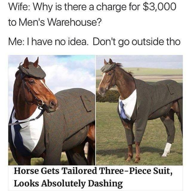 25 Memes So Absurd, They Should Be Taught in Philosophy Class 5 Horse gets tailored 3 piece suit