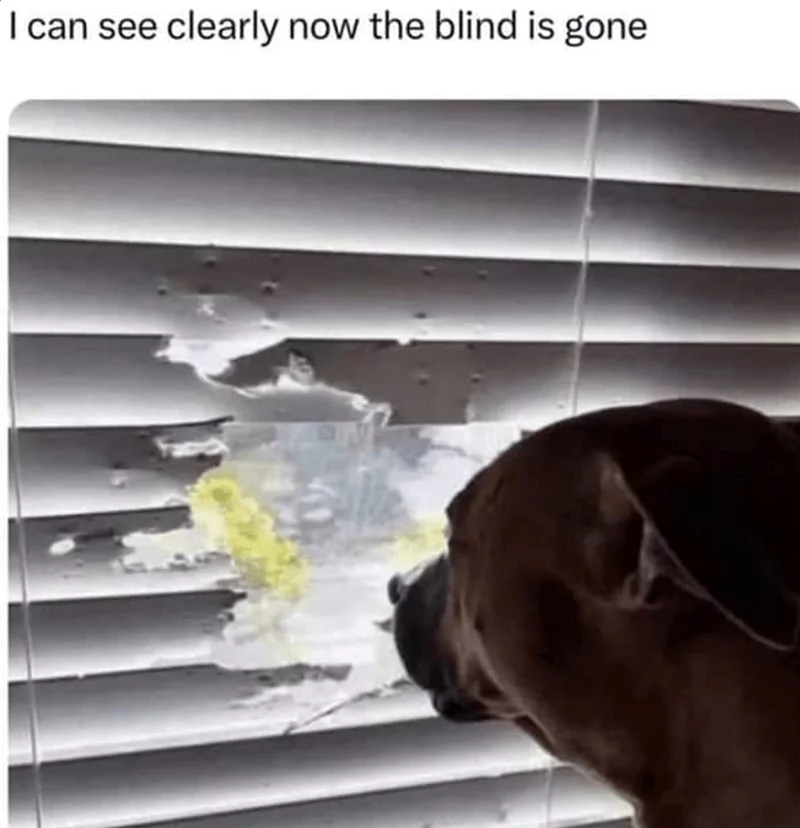 I can clearly see