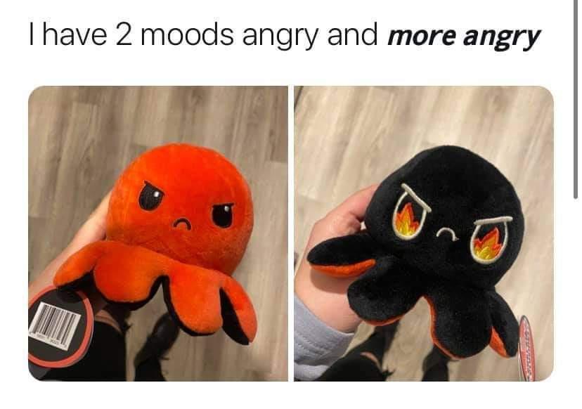 20 Memes Funnier Than That One Time You Tried Yoga 8 I have 2 moods