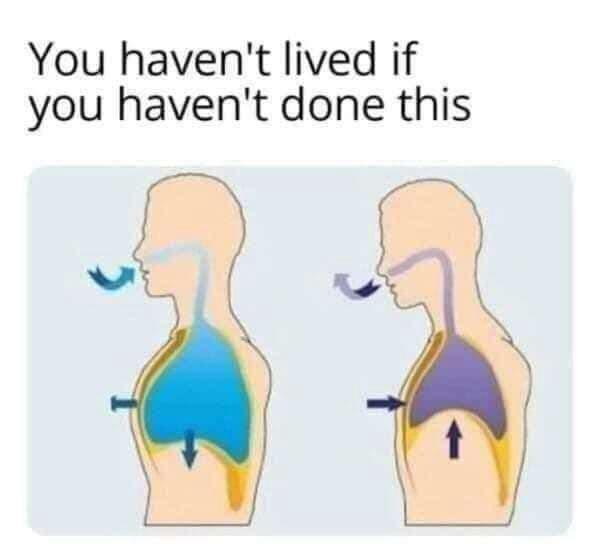 20 Memes That Belong in a Museum of Randomness 8 If you havent lived