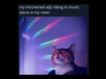 Introverted Memes - FG.jpeg