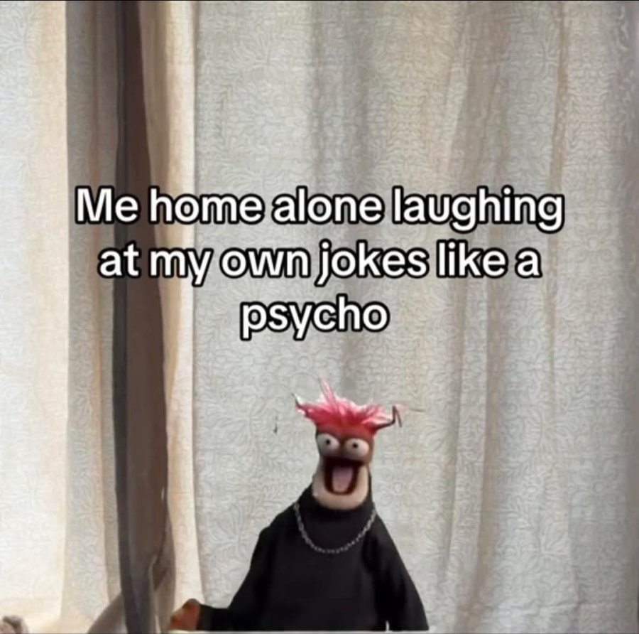 20 Memes That Are Probably Talking Behind Your Back 9 Me home alone