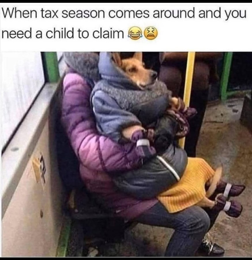 20 Memes That Are Probably Talking Behind Your Back 14 Need a child to claim