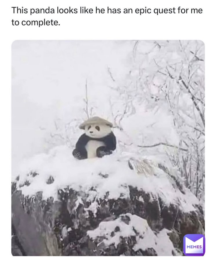 20 Memes That Are Probably Talking Behind Your Back 16 Panda has an epic quest for me