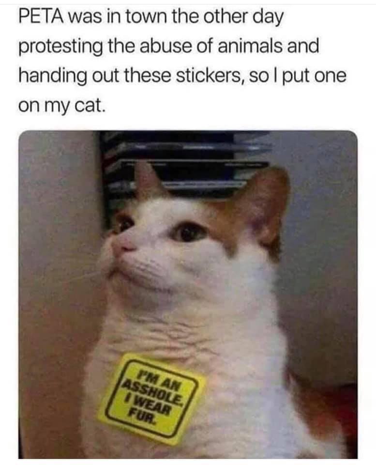 20 Memes Funnier Than That One Time You Tried Yoga 16 Peta was in town