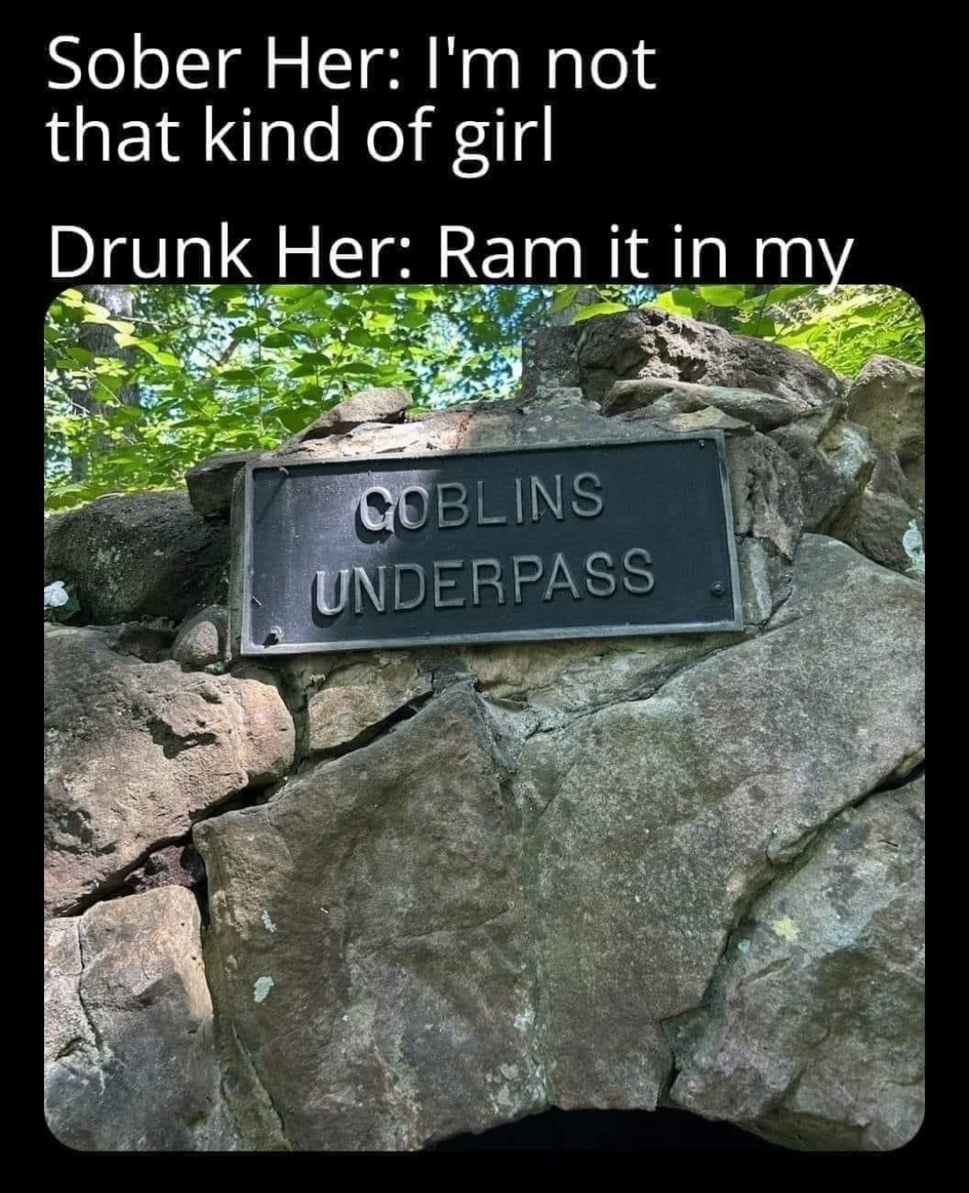 20 Memes That Know Too Much and Won’t Stay Quiet 12 Sober her