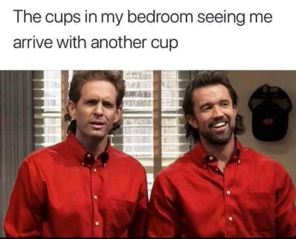 The cups in my room