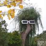 Times People’s Gardens Looked Like They Were Designed By Aliens - FG