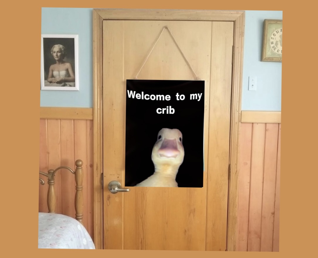 Welcome to My Crib Flag – Because Your Space Deserves an Upgrade (and a Sense of Humor)! 15 Welcome to my crib - FG.jpeg