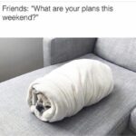 Memes That Are Basically a Comedy Show for Your Phone - FG