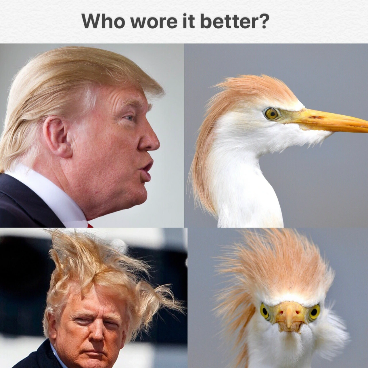 20 Memes That Know Too Much and Won’t Stay Quiet 19 Who wore it better