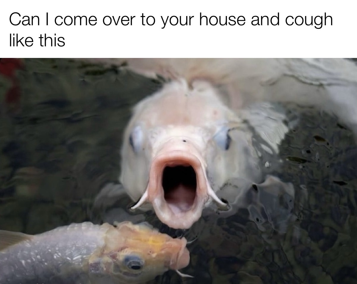 28 Unhinged Memes for When Your Brain Is in Airplane Mode 24 can I comover and cough