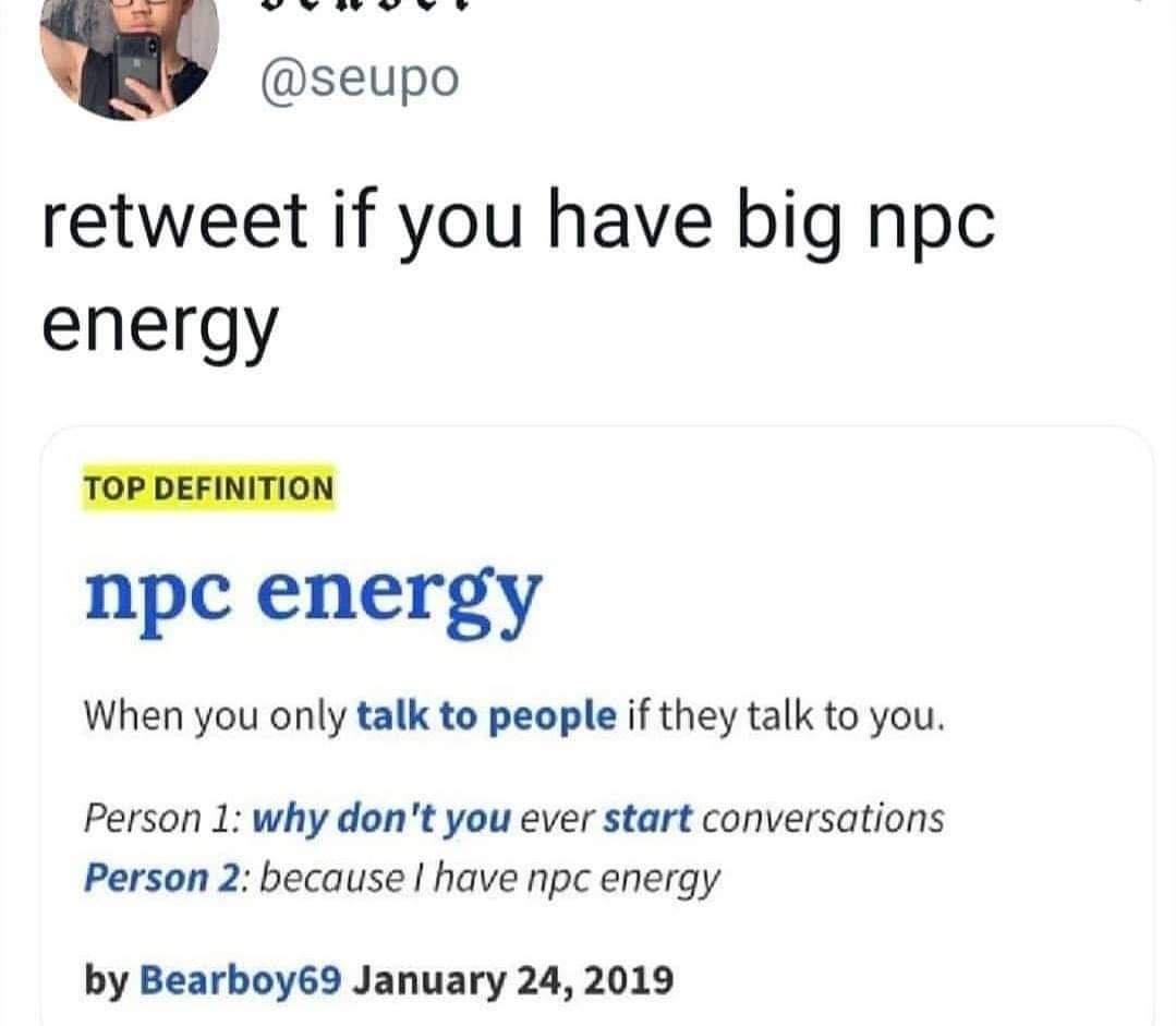 20 Memes That Belong in a Museum of Randomness 12 npc energy