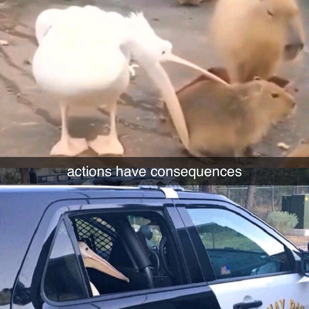 Actions have consequences