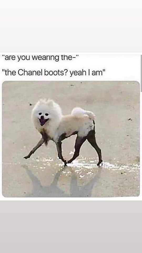Are you wearing the