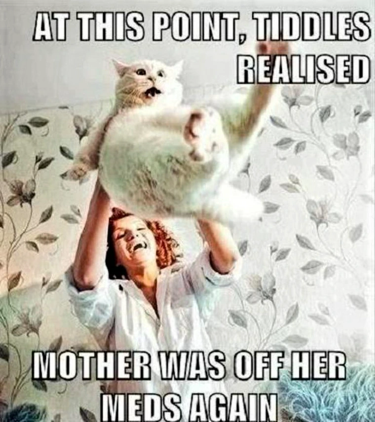 20 Memes You Weren’t Supposed to See… But Here We Are 4 At this point