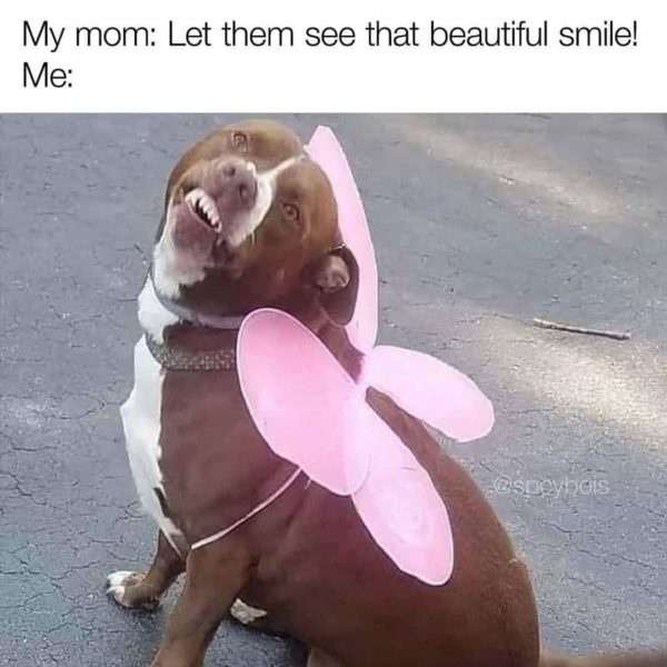 23 Memes That Just Won an Award for Absolutely Nothing 3 Beautiful smile