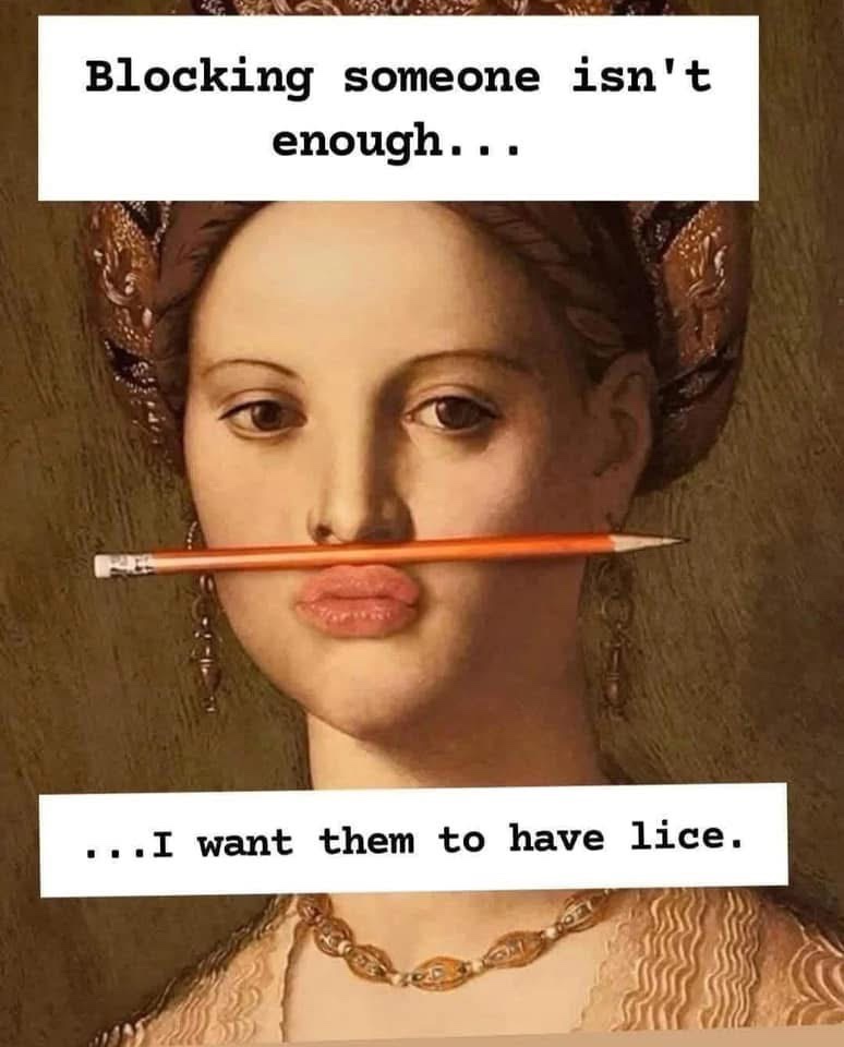 20 Memes You Can’t Scroll Past Without Laughing 1 Blcoking someone isnt enough