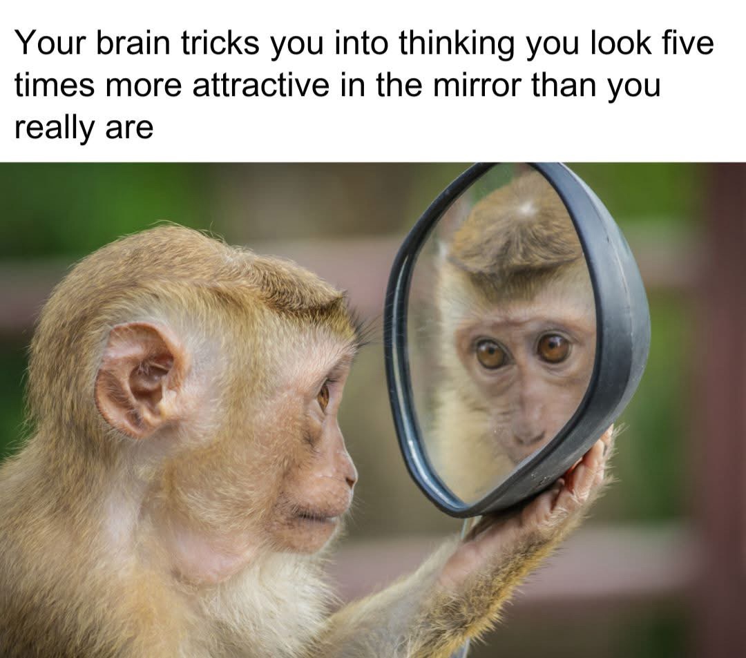 30 Memes That Will Quench Your Thirst for Laughter 27 Brain tricks you