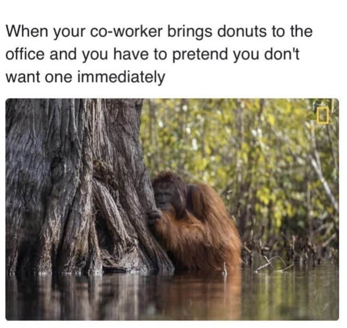 Brings donut to office