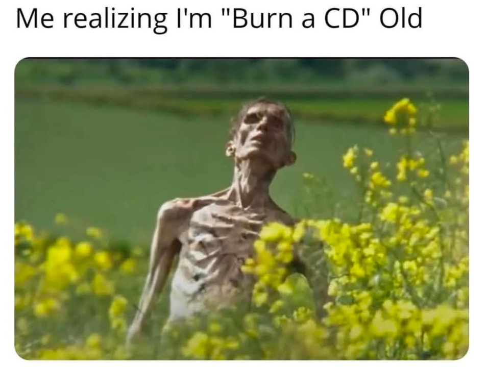 20 Memes That Are Too Funny to Keep to Yourself 1 Burn a CD