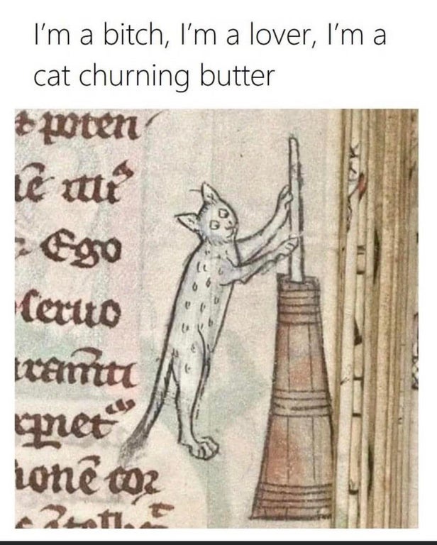 20 Memes You Can’t Scroll Past Without Laughing 5 Cat churning butter