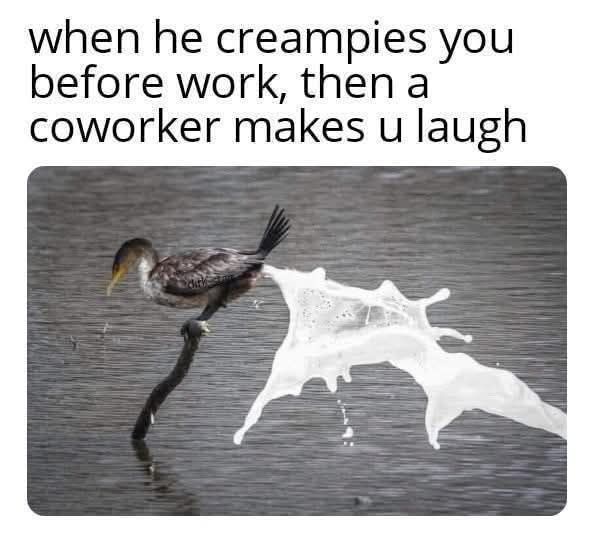 20 Memes That Are So Naughty, Even Incognito Mode Won’t Help 1 Co worker makes you laugh