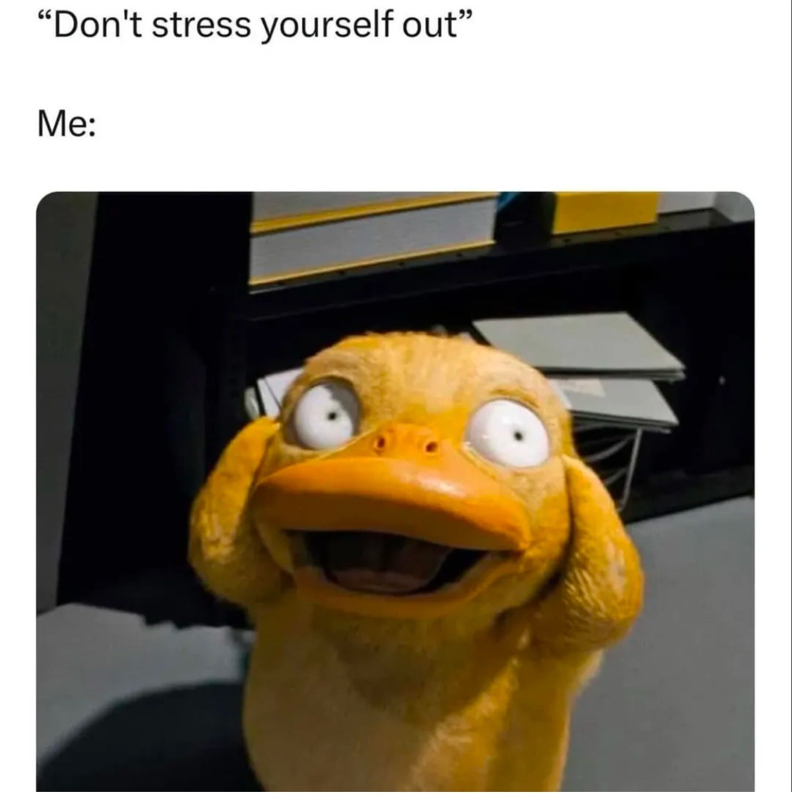 20 Memes That Are Too Funny to Keep to Yourself 2 DOnt stress