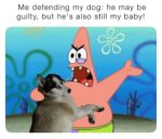 Defending my dog - FG
