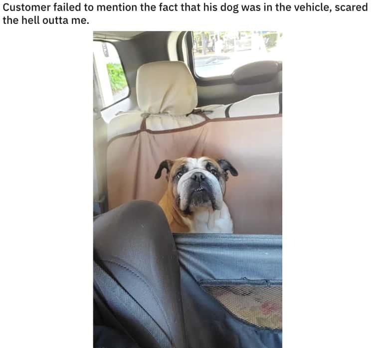 30 Funniest Animal Memes to Instantly Boost Your Mood 28 Failed to mention