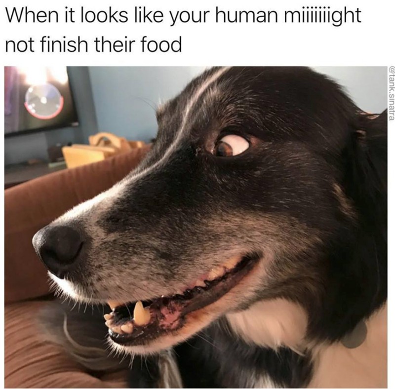 Human might not finish theor food