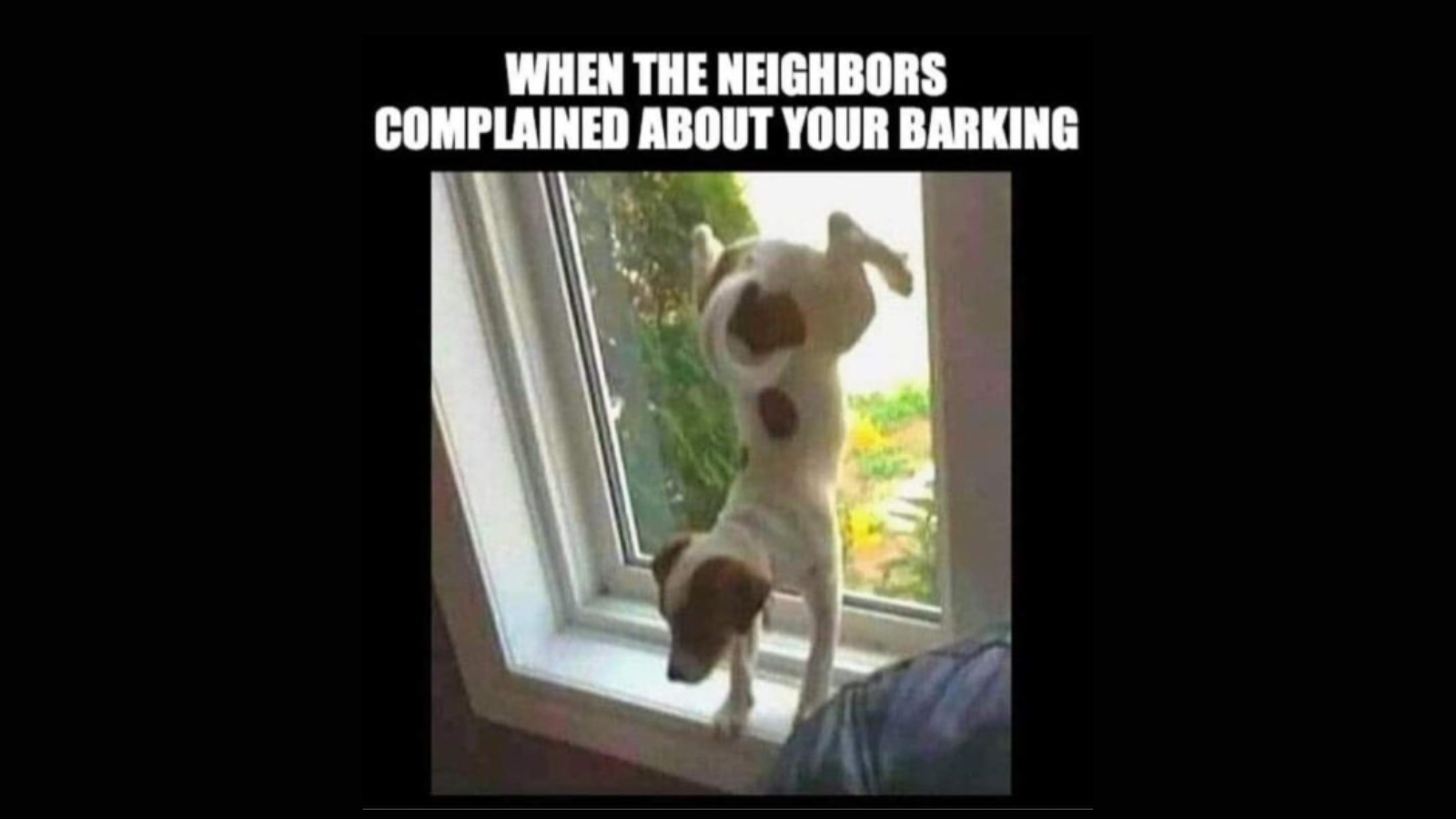 Hysterical Memes to Make You Laugh Until You Need a Nap FG