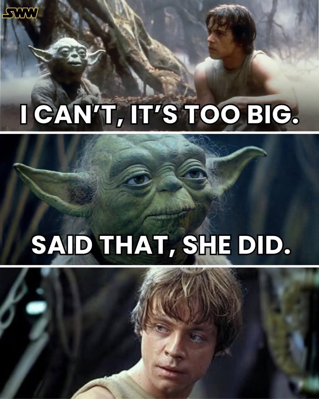 30 That’s What She Said Memes for Inappropriate Laughs 29 I cant its too big