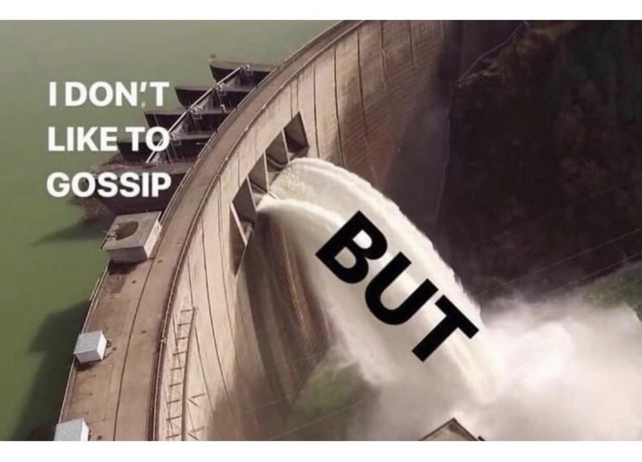 20 Memes That Were Mistaken for Trash but Are Actually Gold 8 I dont like to gossip