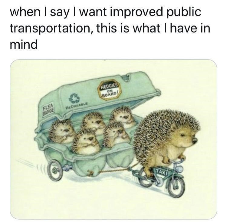 23 Memes That Just Won an Award for Absolutely Nothing 7 Improved public transport