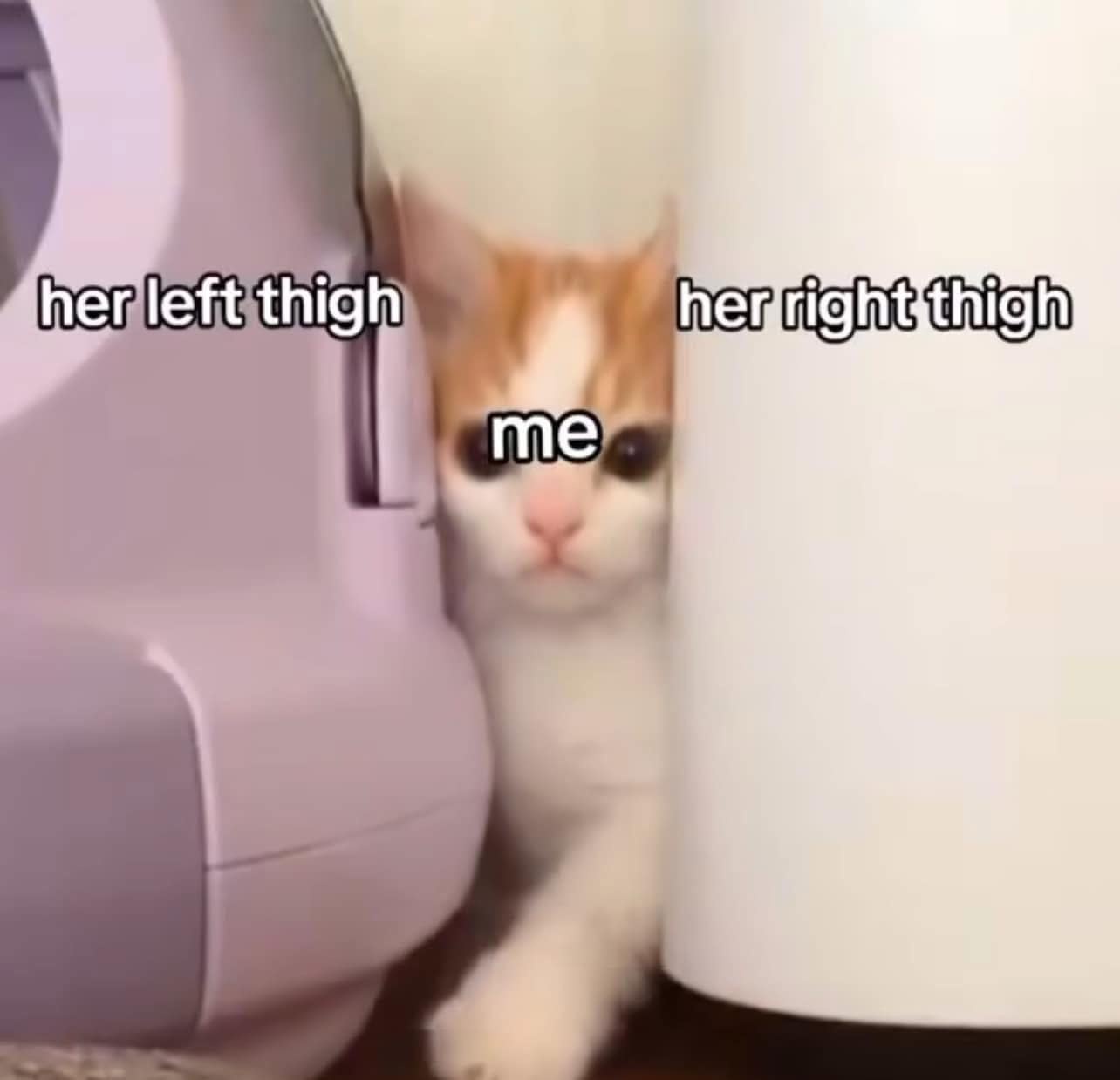 24 Memes That Walk the Fine Line Between Funny and Forbidden 8 Left an right