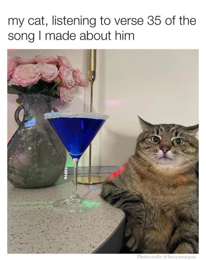 30 Memes That Just Won an Award for Absolutely Nothing 27 Listening to verse 35