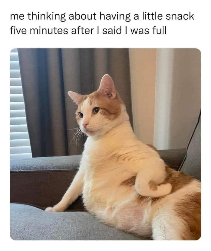 30 Funniest Animal Memes to Instantly Boost Your Mood 30 Little snack