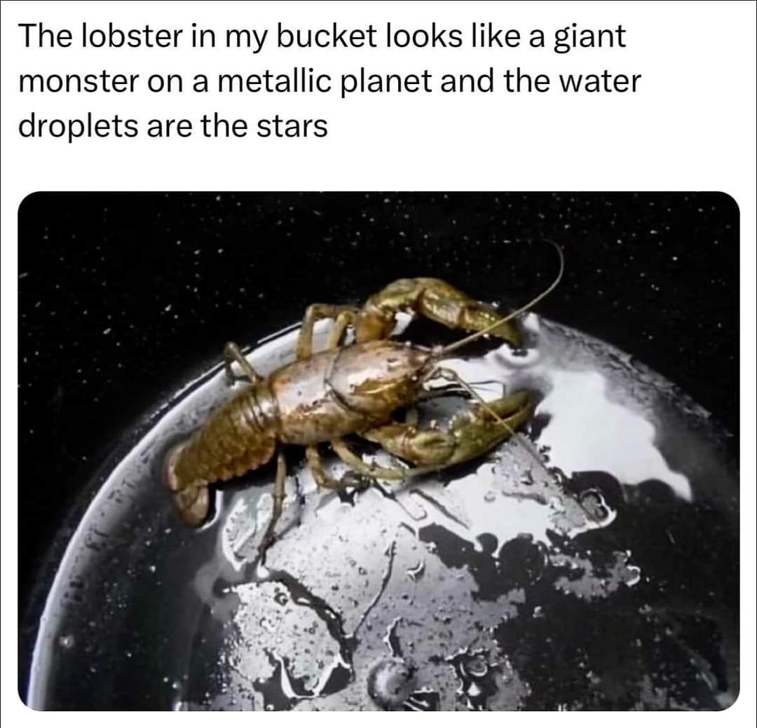 24 Science Memes That Break the Laws of Seriousness 9 Lobster in my bucket - Science Memes