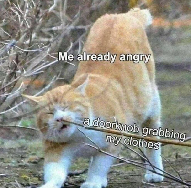 20 Memes You Can’t Scroll Past Without Laughing 14 Me already angry