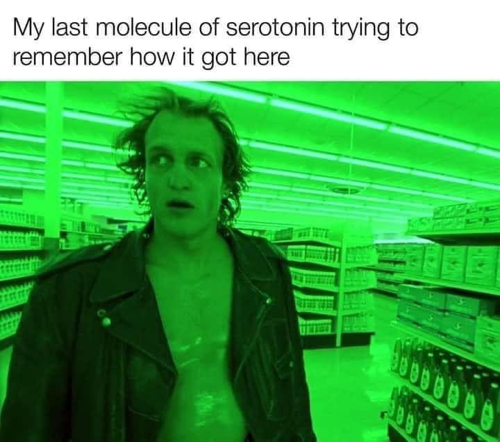 30 Memes That Just Won an Award for Absolutely Nothing 29 My last molecule of serotonin