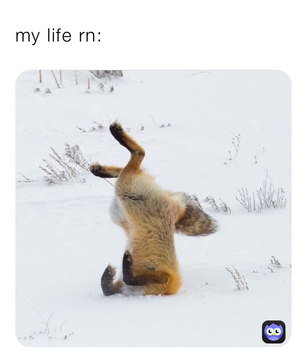 My life rn