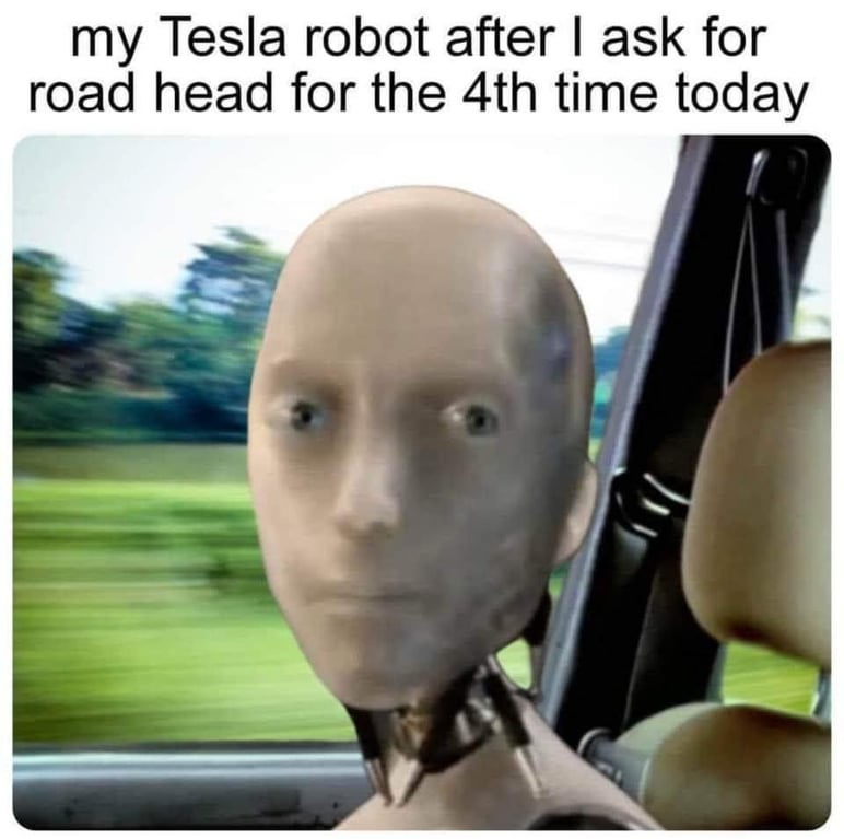 20 Deranged Memes That Will Have You Laughing and Concerned 12 My tesla robot - Deranged Memes