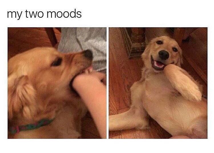 My two moods