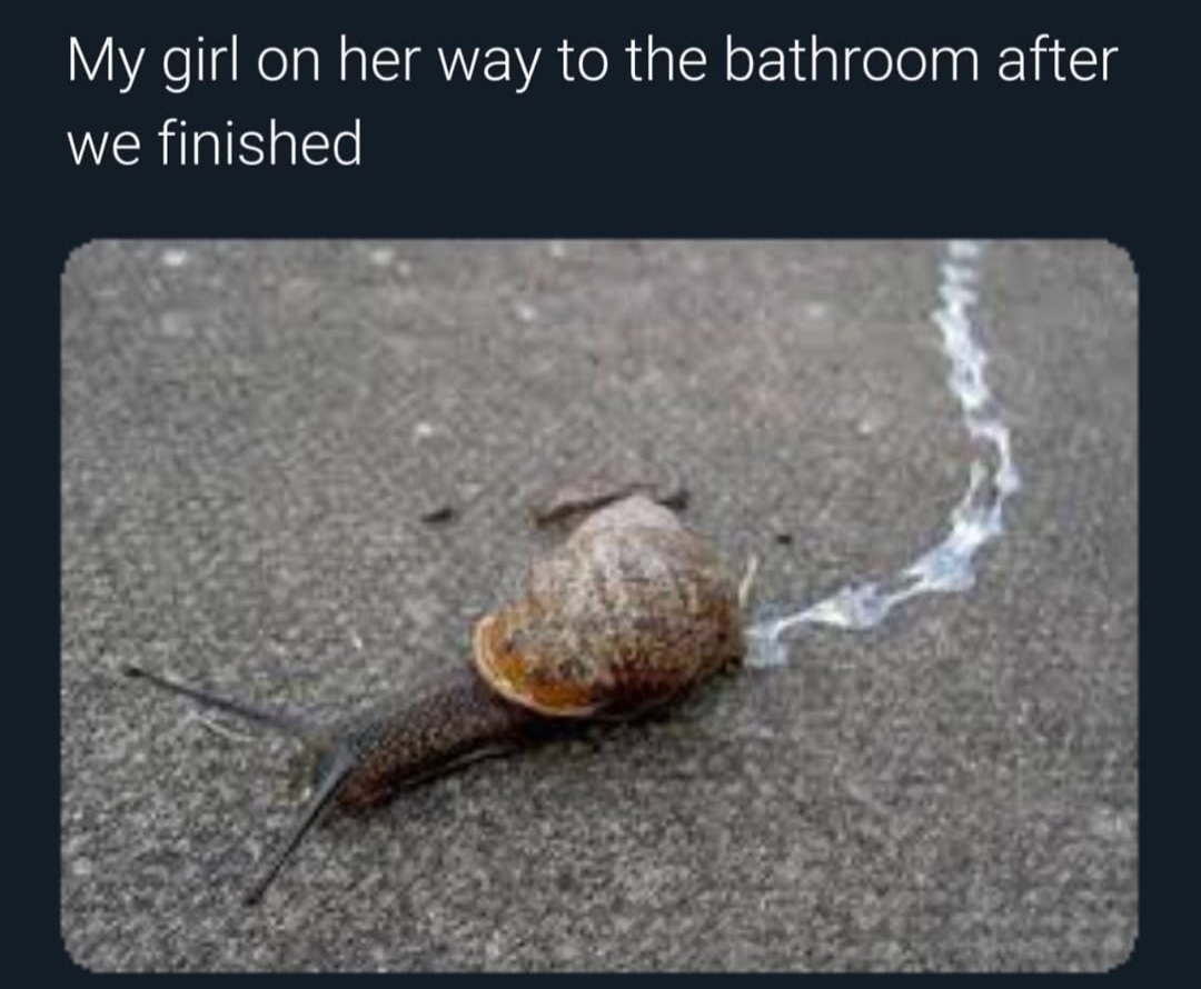 20 Memes That Are Slightly Inappropriate but Totally Hilarious 11 On her way