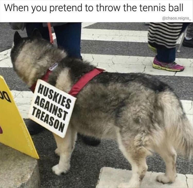 Pretend to throw tennis ball