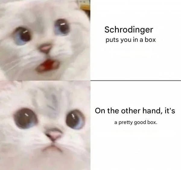 24 Science Memes That Break the Laws of Seriousness 16 Schrodinger puts you in a box - Science Memes