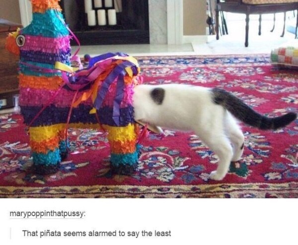 23 Memes That Just Won an Award for Absolutely Nothing 13 Seems alarmed