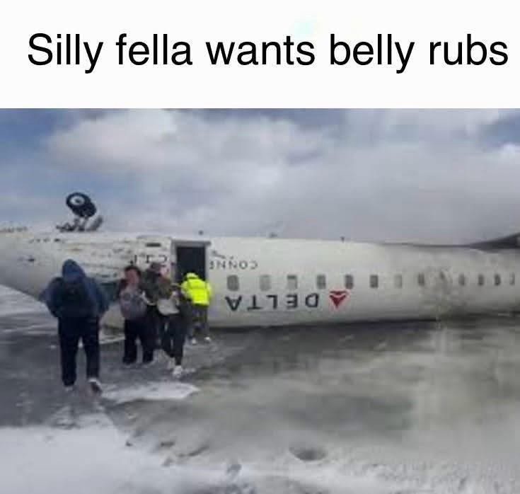 23 Memes That Just Won an Award for Absolutely Nothing 14 Silly fella