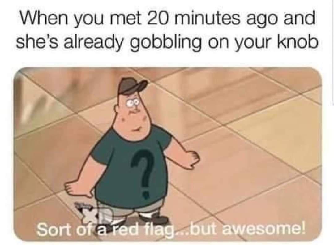 20 Memes That Are Slightly Inappropriate but Totally Hilarious 13 Sort of a red flag